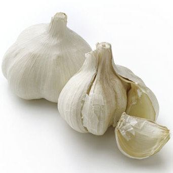 Directly from the production area! Aomori Prefecture [garlic]