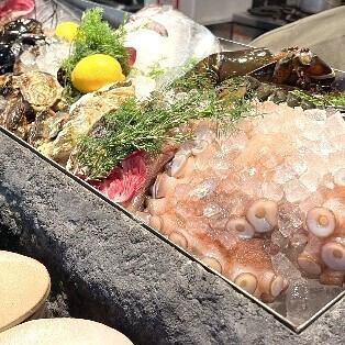 【貸し切り限定コース◆8名様～】前菜3種や魚・肉料理を、プライベート空間で楽しめるプラン