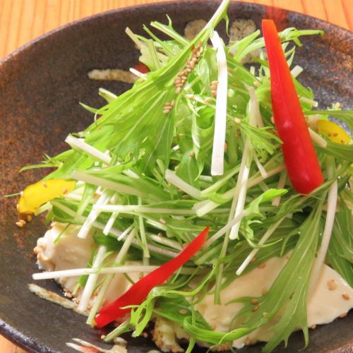 Harihari Salad with Tofu and Mizuna (Roasted Sesame Dressing)