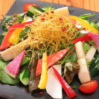 Seasonal colorful salad (homemade Japanese dressing)