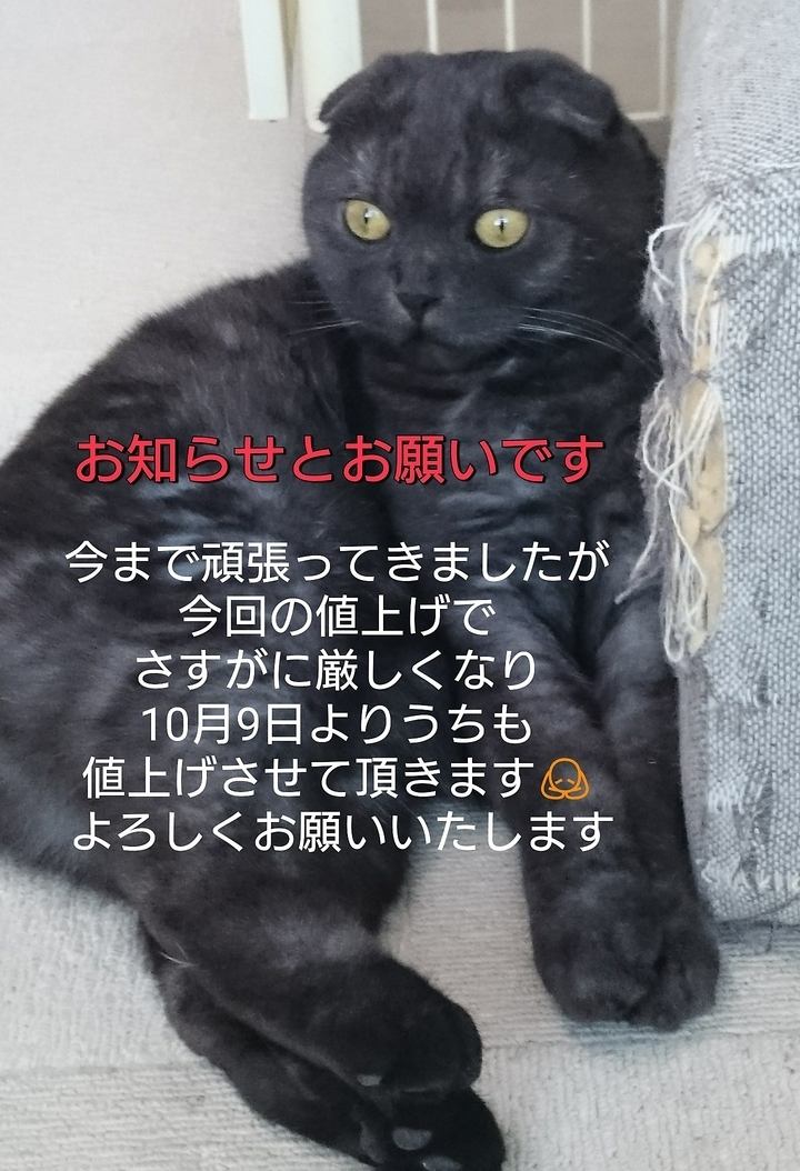 ねこ部屋予約は直接お電話でお願い致します。