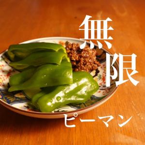 고기 된장 피망