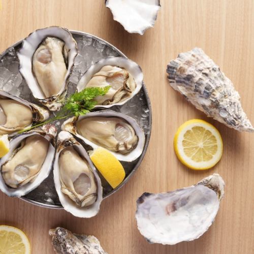 Fresh plump raw oysters