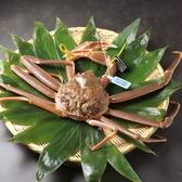 【時節の会席・11月中旬】越前蟹コース◆造里、茹で蟹、釜飯など産地が選べる蟹を会席料理で堪能