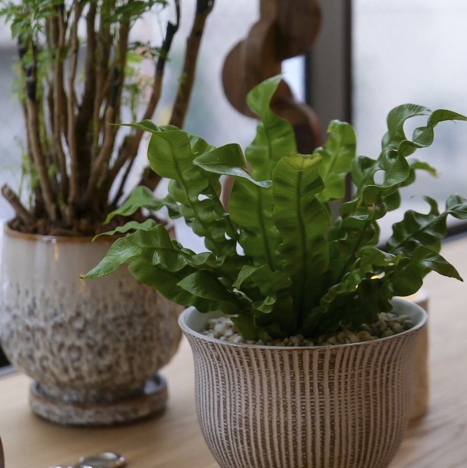 貸切は20名様まで対応可能◎他のお客様を気にせず楽しめますよ!