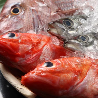 岩手県産！漁港直送☆新鮮魚介を贅沢に堪能できるお刺身を是非ご賞味あれ！
