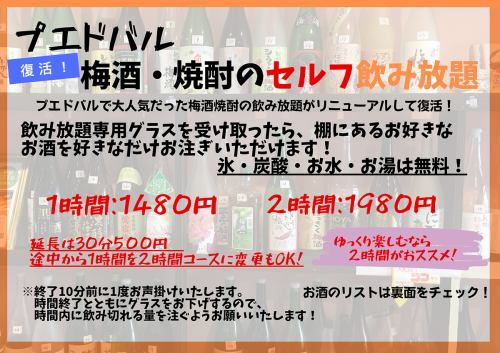 All-you-can-drink plum wine and shochu