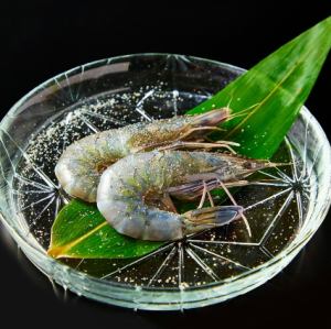 イカ焼き/海老/ガリバタ帆立