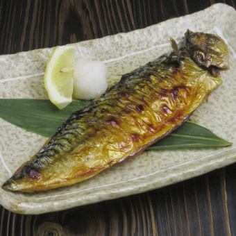 Amazing Mackerel from Koshida Shoten