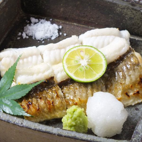 White-grilled natural conger eel