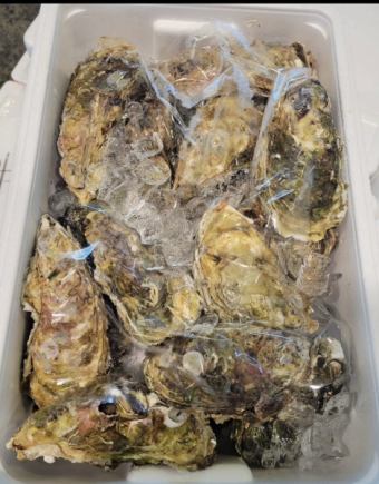 【11/17~12/15의 평일 한정】★3주년 기념 ★사전 예약 특전★《생굴 2개》 플랜