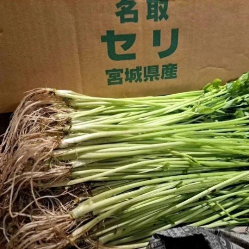 【旬の味覚を満喫】宮城県名取市三浦農園　芹