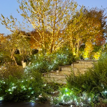 新宿高島屋13階！うれしい駅近♪テラス席完備◎