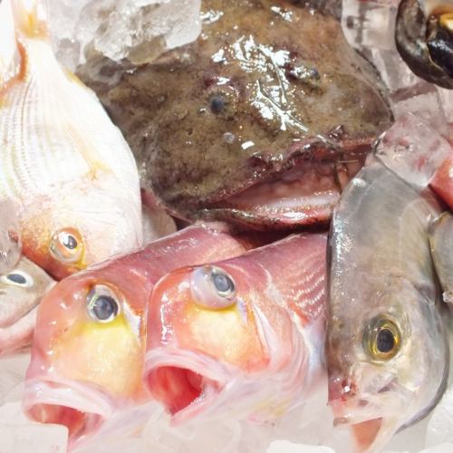 品嚐瀨戶內產的新鮮魚