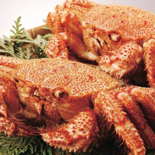 【宴席オプションメニュー】毛蟹（姿盛り・ゆで）