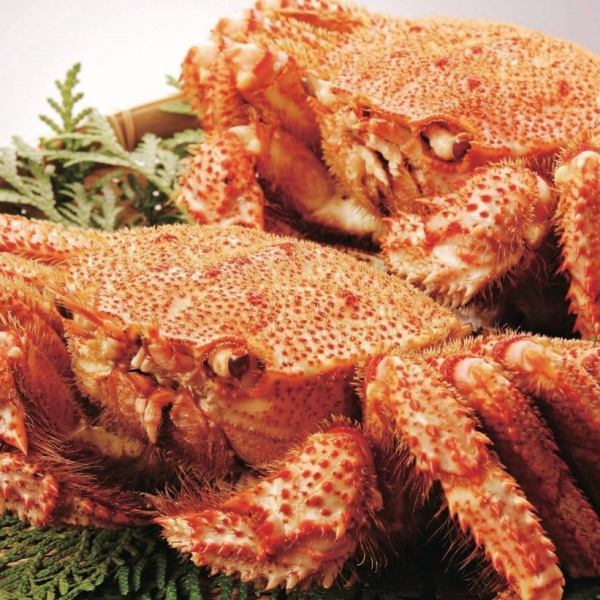 【宴席オプションメニュー】毛蟹（姿盛り・ゆで）