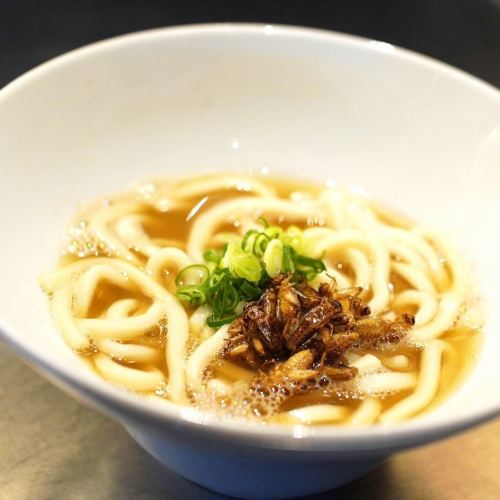 コオロギ出汁うどん