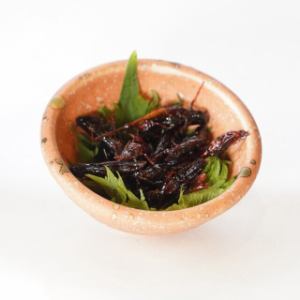その他昆虫料理