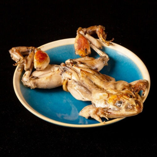 カエルの丸焼き