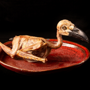 カラスの丸焼き（要ご予約）