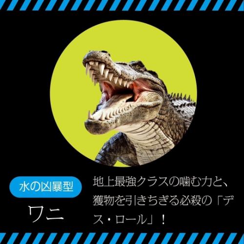 ●Aggressive Water Species● Crocodiles/Sharks/Giant Water Bugs/Moray Eels