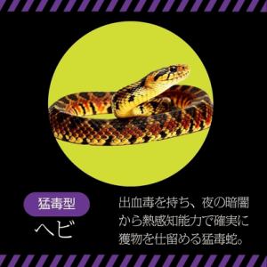 ●猛毒型●ヘビ/オオムカデ/タランチュラ/サソリ/スズメバチ/イモリ/フグ/エイ