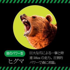 ●陸のパワー型●ヒグマ/イノシシ/カンガルー/エミュー