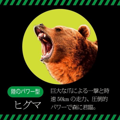 ●Land-based power type● Brown bear / Wild boar / Kangaroo / Emu