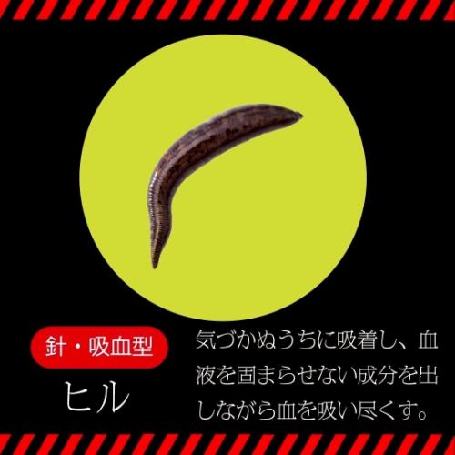 ● Needle-type, blood-sucking type ● Leech/Cactus