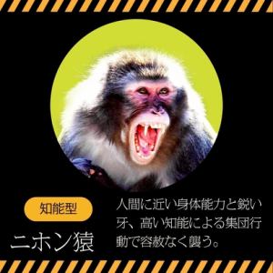 ●知能型●カラス/アライグマ/ニホンザル