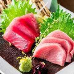 ■2.5H飲み放題付『風雅コース』絶品マグロ食べ比べに海鮮ちらし寿司等〈全8品〉5000円⇒4000円