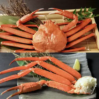 【海鮮3品付】 かに満喫!食べ飲み放題コース◆150分!
