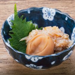 미나미 타카 매화 매화 수정