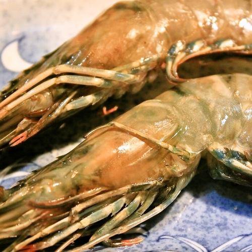 Headed shrimp (2)