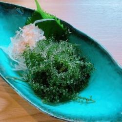 海ぶどう