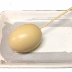 egg