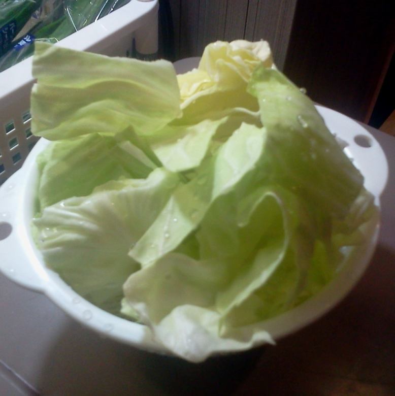 Cabbage / burdock