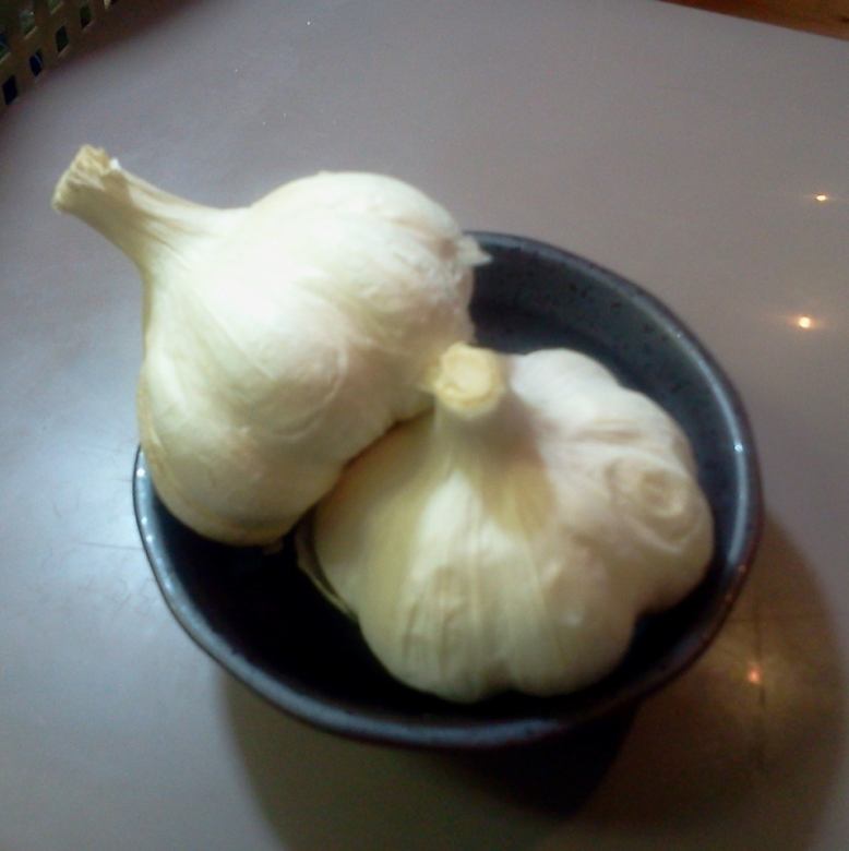 Garlic / green onion