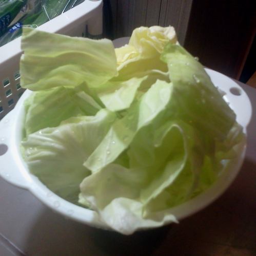 キャベツ/とうふ