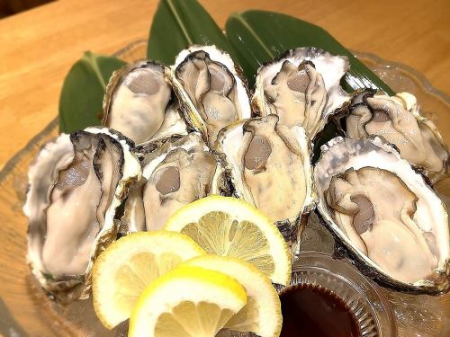 Kanawa raw oysters