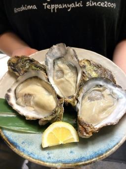 かなわの牡蠣・瀬戸内海で1番綺麗な清浄海域で採れる、安心、新鮮、旨い、広島最上級のアタラナイ牡蠣！！