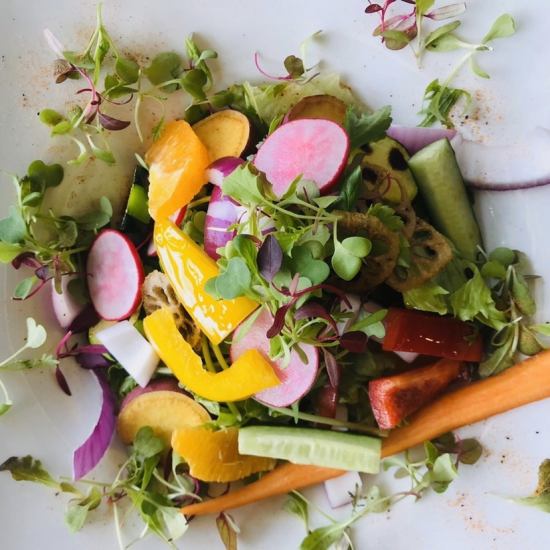 我們推薦用健康的新鮮蔬菜製成的沙拉♪