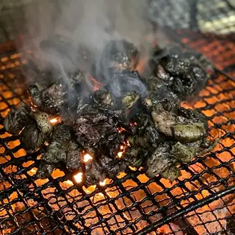 【2.5H飲み放題】銘柄鶏と旬魚を味わう「手羽先揚げと宮崎地鶏の炭火焼きコース」全8品 4500円