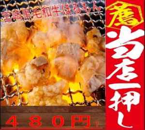 宮崎黒毛和牛ホルモンや焼肉食べ放題の他、サイドメニューを多数ご用意しております。