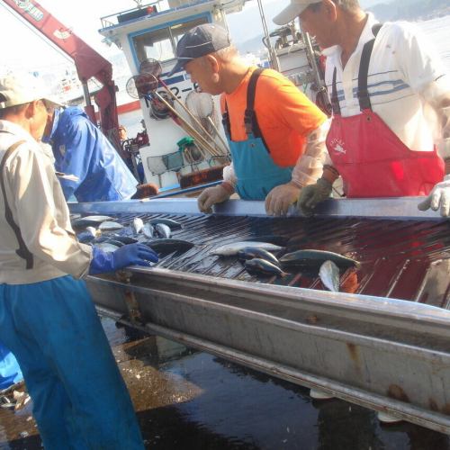 ★新鮮！旬の魚を楽しめる