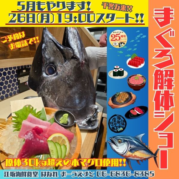 Starting at 7pm on Monday 26/5! Tuna cutting show to be held☆ Experience the thrill of a 30kg+ tuna!