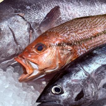 目利き職人の厳選鮮魚！「本日の天然魚」