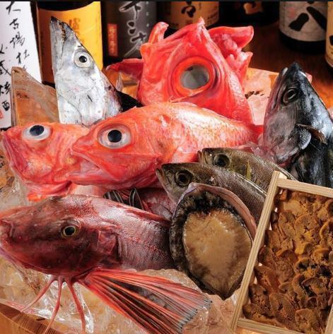 Fresh ingredients sent directly from Shikoku Muroto Cape including Kishu Minoshima Fishing Port