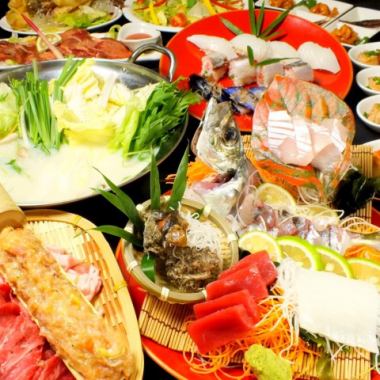 【春のプレミアムコース】御造り5点盛りや特選鍋付き〈全8品×3時間飲み放題〉6500円→5000円