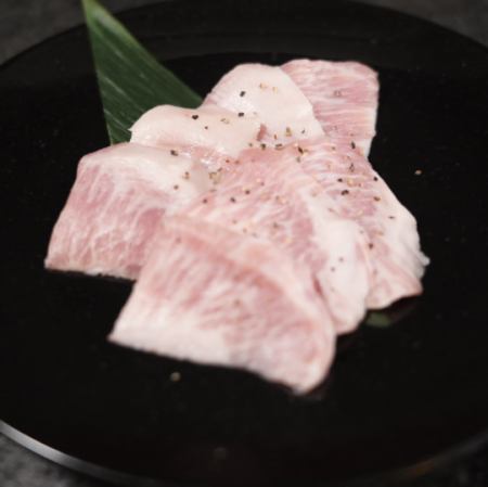 Swine Toro